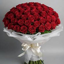 Букет 101 Красная роза Блэк Мэджик в Мелехово