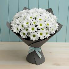 Букет цветов из:  Хризантемы #REPLACE_PRED# Мелехово