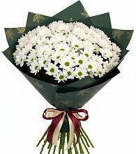 Букет цветов из:  Хризантемы #REPLACE_PRED# Мелехово