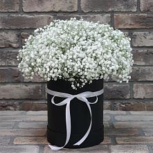 Цветочная композиция из Гипсофила в шляпной коробке в Мелехово