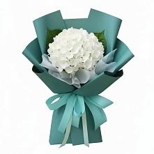 Букет цветов из:  Гортензия #REPLACE_PRED# Мелехово
